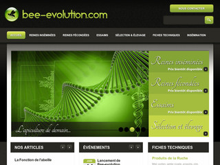 Aperçu visuel du site http://www.bee-evolution.com