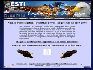 Aperçu visuel du site http://www.estidetectives.fr/