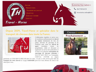 Aperçu visuel du site http://www.transports-chevaux.fr/