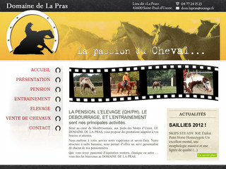 Aperçu visuel du site http://www.domainedelapras.fr