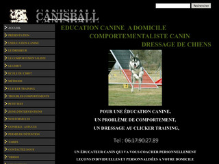 Aperçu visuel du site http://www.canisball.fr