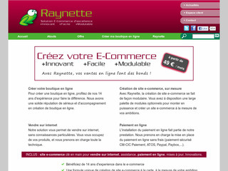 Aperçu visuel du site http://www.raynette.fr