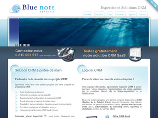 Aperçu visuel du site http://www.bluenote-systems.com