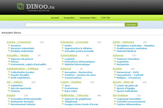 Aperçu visuel du site http://www.dinoo.fr