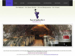 Aperçu visuel du site http://www.lesvingabonds.fr