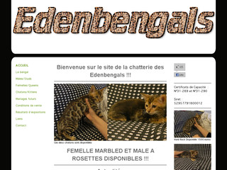 Aperçu visuel du site http://www.edenbengals.com