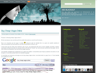 Aperçu visuel du site http://www.seoblackout.com