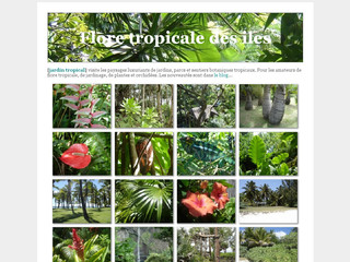 Aperçu visuel du site http://jardintropical.net/