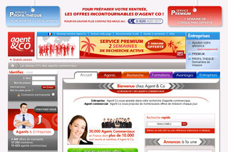 Aperçu visuel du site http://www.agent-co.fr/