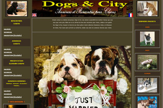 Aperçu visuel du site http://www.dogsandcity.com/home.php