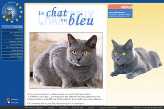 Chartreux-europe.com - Le chat Chartreux d'Europe