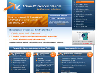 Aperçu visuel du site http://www.action-referencement.com