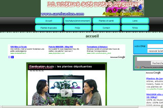 Aperçu visuel du site http://www.carnicactus.com