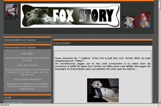 Aperçu visuel du site http://www.foxstory.info