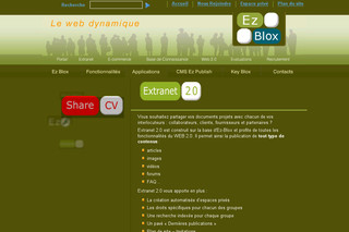 Aperçu visuel du site http://www.extranet-20.com