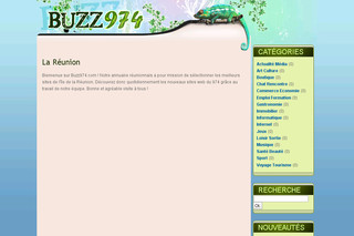 Aperçu visuel du site http://www.buzz974.com