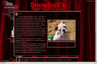 Aperçu visuel du site http://www.snowbulls.fr
