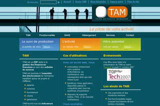 Aperçu visuel du site http://www.tamsolution.com