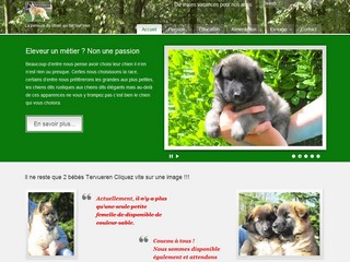Pension chien 78 - Yvelines - Pensionduchien.com