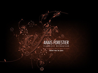 Aperçu visuel du site http://www.anais-forestier.com
