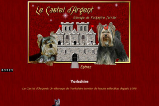 Aperçu visuel du site http://www.castel-argent.com