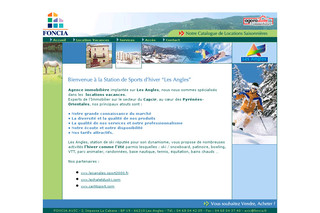 Aperçu visuel du site http://www.immobilier-cerdagne.fr