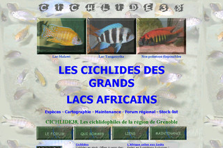 Cichlide38 - Les Cichlidés des grands lacs africains sur Cichlide38.free.fr
