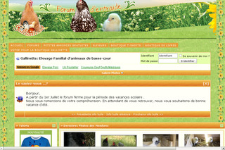 Aperçu visuel du site http://www.gallinette.net