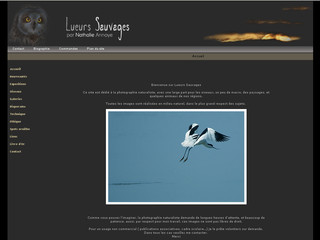 Aperçu visuel du site http://www.lueurs-sauvages.com