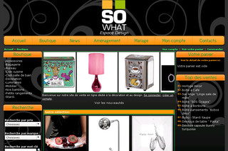 Aperçu visuel du site http://www.so-what-design.com