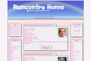 Aperçu visuel du site http://www.rencontre-homo.net/