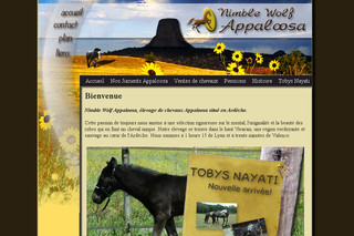 Aperçu visuel du site http://nimblewolfappaloosa.izispot.com/