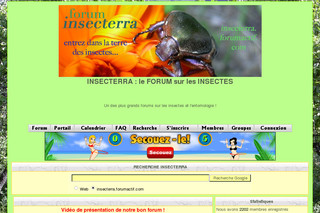 Aperçu visuel du site http://insecterra.forumactif.com/
