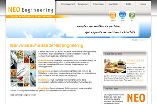 Aperçu visuel du site http://www.neoeng.com