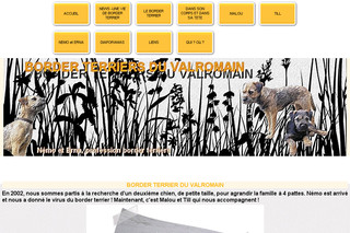 Aperçu visuel du site http://www.borderterrierfox.fr