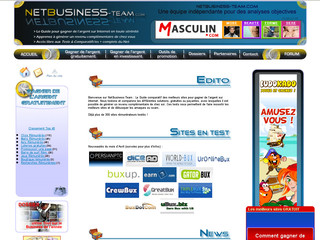 Aperçu visuel du site http://www.netbusiness-team.com