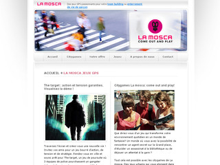 Aperçu visuel du site http://www.lamosca.fr