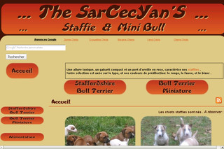 The SarCecYan'S: Staffie et Mini bull-élevage de terriers type bull
