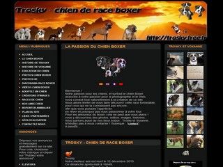 Trosky - chien de race boxer - Trosky.free.fr