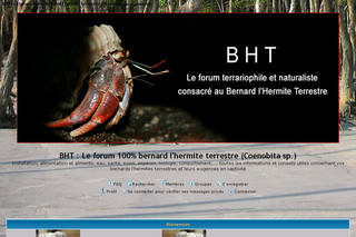 BHT : Bernard l'hermites terrestres, Pagoux, Coenobita - Coenobita.xooit.com