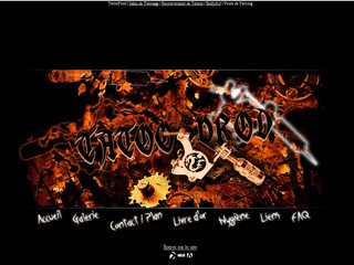 Aperçu visuel du site http://www.tatooprod.fr