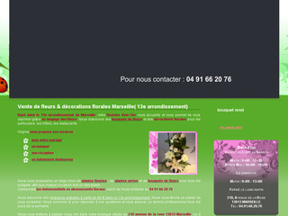 Reinflor.com - Fleuriste Marseille Compositions Florales Plantes