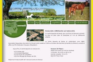 Aperçu visuel du site http://www.centre-equestre-denice.com/
