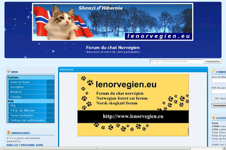 Aperçu visuel du site http://www.lenorvegien.eu