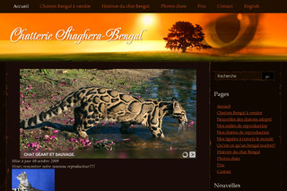 Aperçu visuel du site http://www.chatsbengal.com