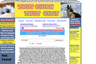 Les meilleurs professionnels pour chiens et chats - Tout-chien-tout-chat.ref7dir.com Les meilleurs professionnels pour chiens et chats - Tout-chien-tout-chat.ref7dir.com