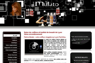 Aperçu visuel du site http://www.patrice-mulato.com