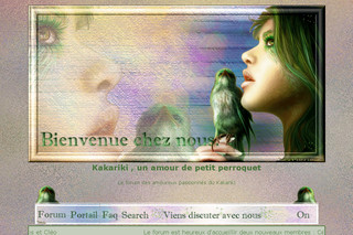 Aperçu visuel du site http://kakariki.forumactif.net