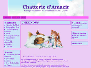 Aperçu visuel du site http://www.chatteriedamazir.com