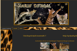 Aperçu visuel du site http://www.mariebengal.com